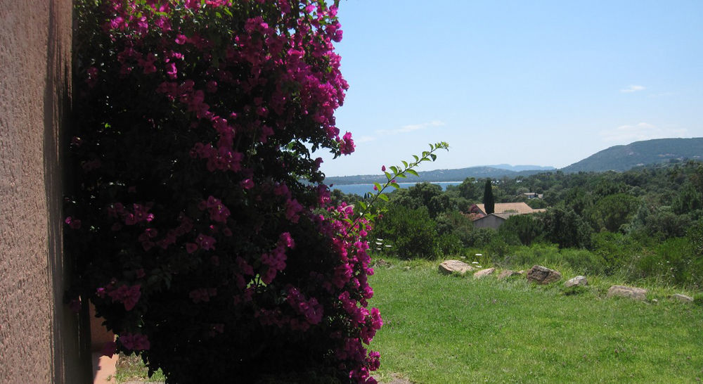 PinarelluComplesso Residenziale Marina Di Pinarello公寓式酒店 外观 照片