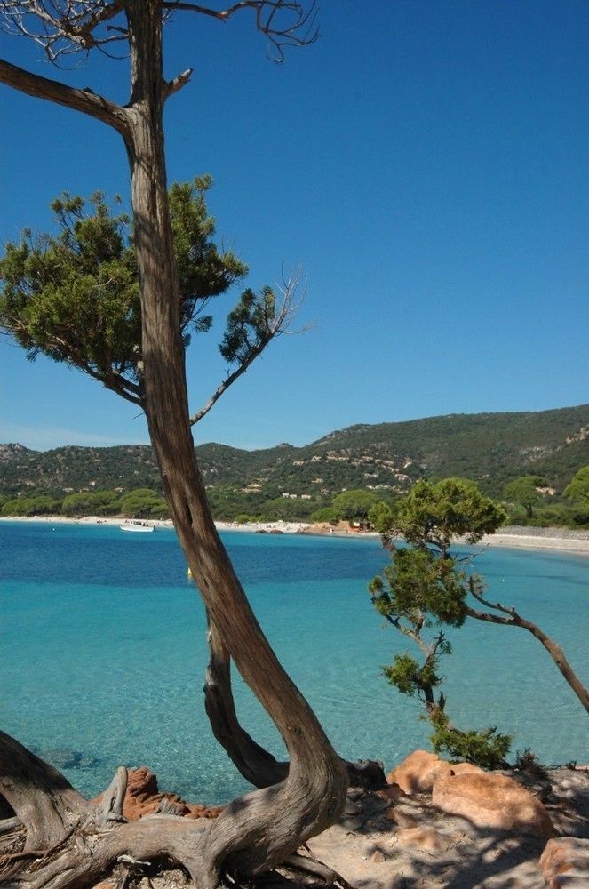 PinarelluComplesso Residenziale Marina Di Pinarello公寓式酒店 外观 照片